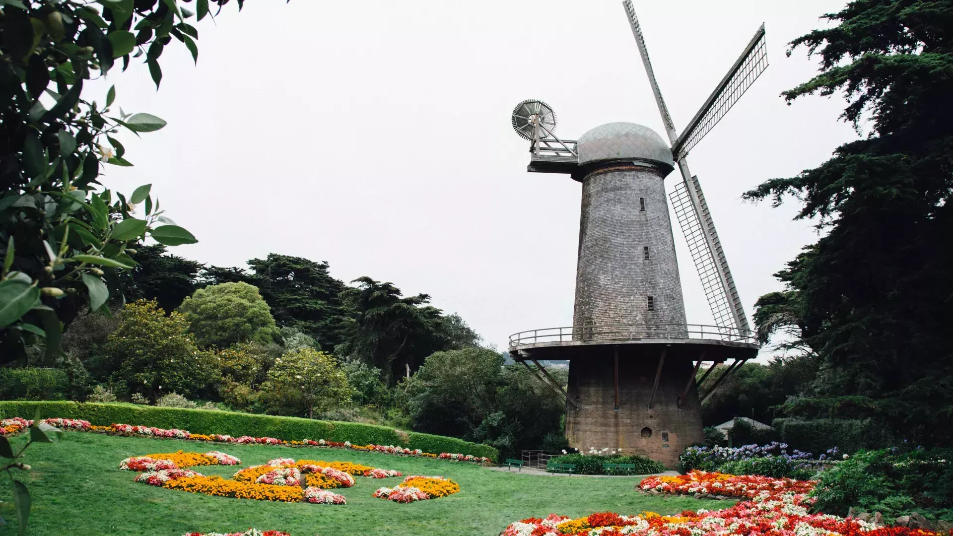 Holländische Windmühle im Golden Gate Park